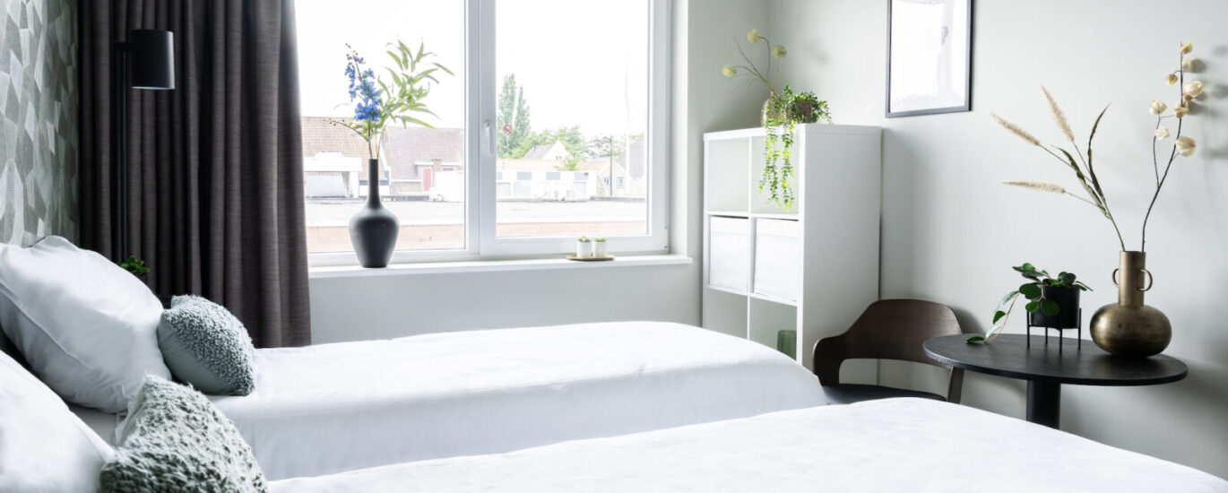 Newly Renovated Suite, Free Parking Main Image