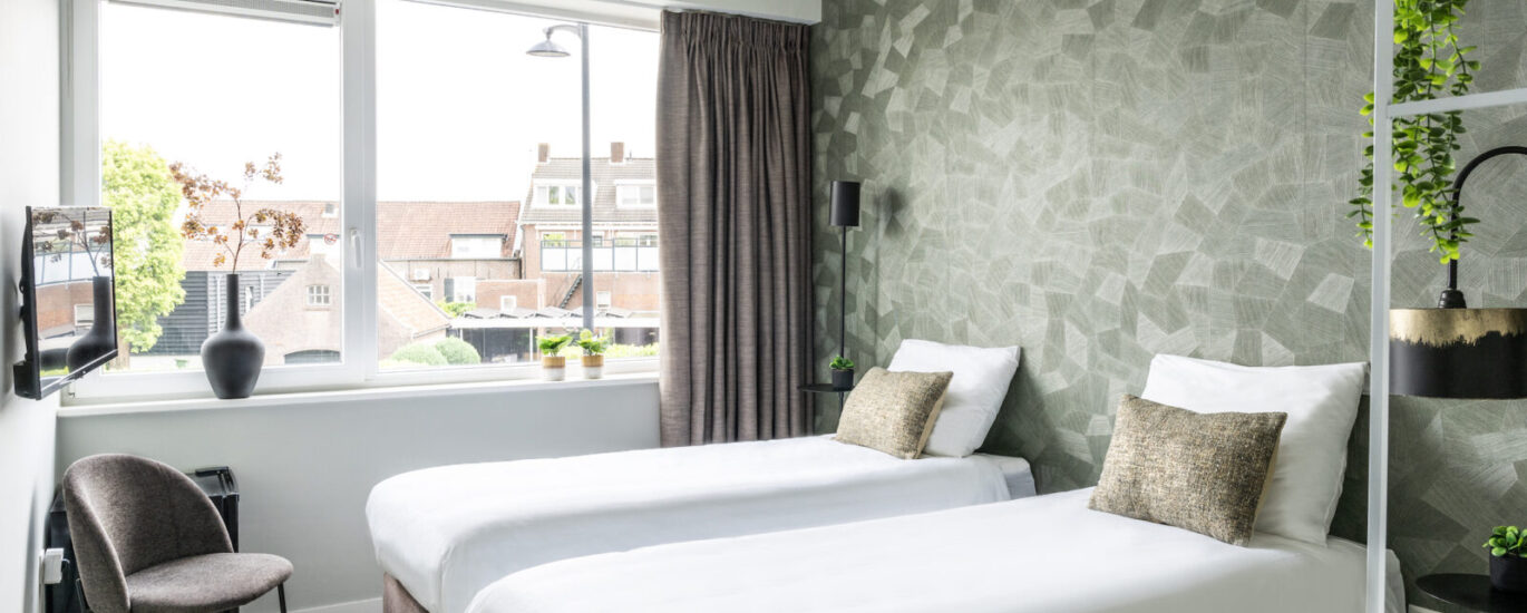 Luxury Suite W Wifi & Private Bath Main Image